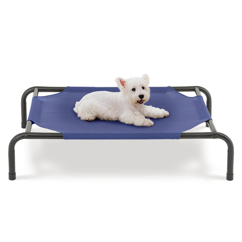 Frisco elevated pet bed assembly best sale